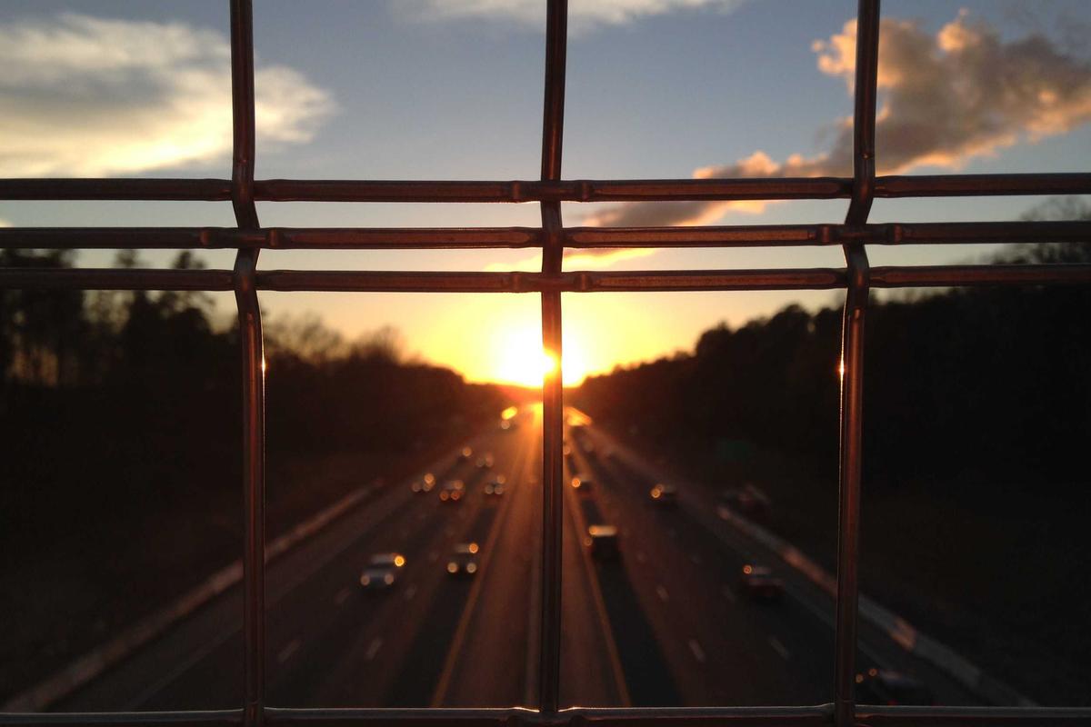 교토의 정적: 사찰 스테이와 다도